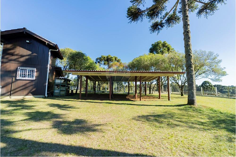 Chácara / Sítio / Fazenda - Venda - Capão Alto , Santa Catarina - DSC03793.jpg - 590071002-440