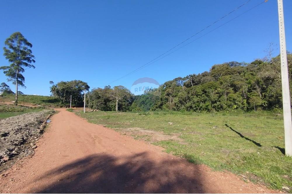 Chácara / Sítio / Fazenda - Venda - Benedito Novo , Santa Catarina - IMG-20241028-WA0379.jpg - 590301027-92