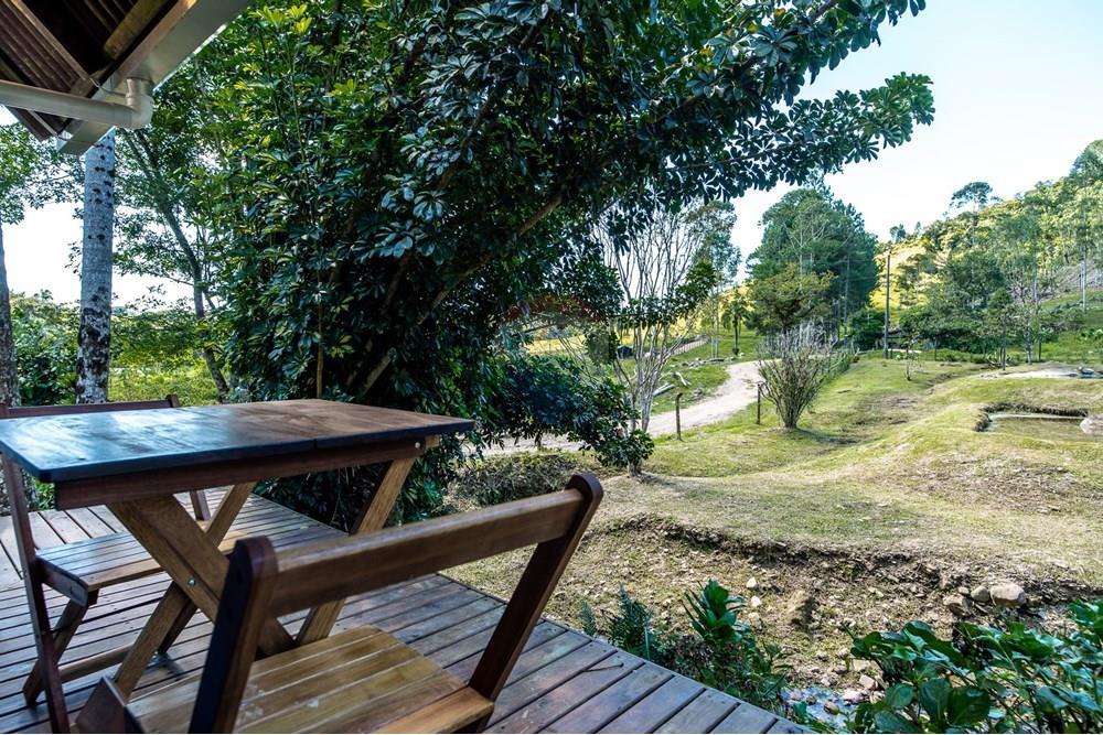 Chácara / Sítio / Fazenda - Venda - Benedito Novo , Santa Catarina - _DSC4287.jpg - 590301034-14