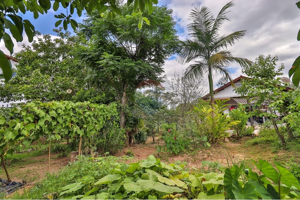 Casa Comercial - Venda - Timbó , Santa Catarina - 10.jpg - 590211024-25