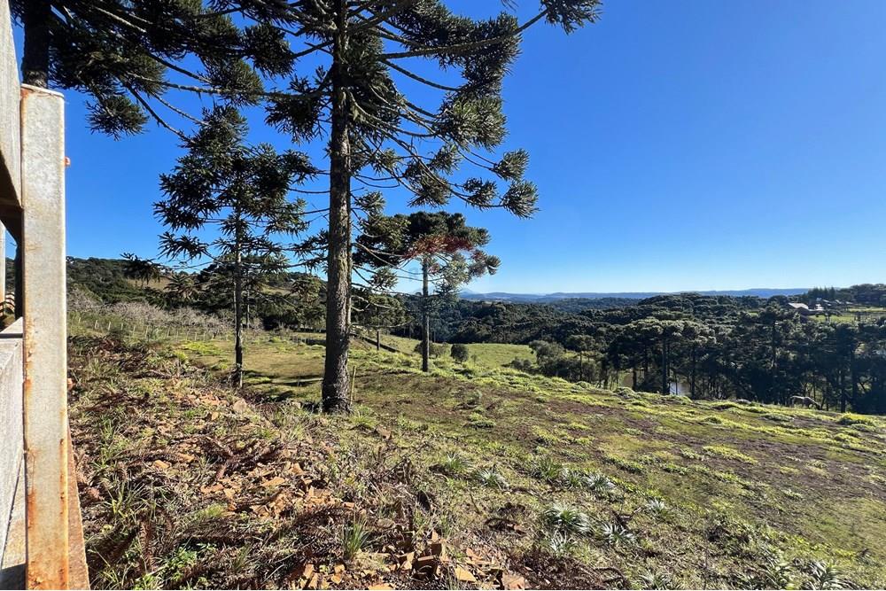 Terreno - Venda - Painel , Santa Catarina - WhatsApp Image 2025-06-11 at 15.16.33 (1).jpeg - 590071003-195