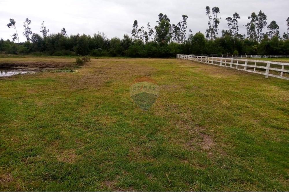 Terreno - Venda - São João do Sul , Santa Catarina - Imagem do WhatsApp de 2025-07-28 à(s) 13.53.41_89d1de98.jpg - 590491005-24