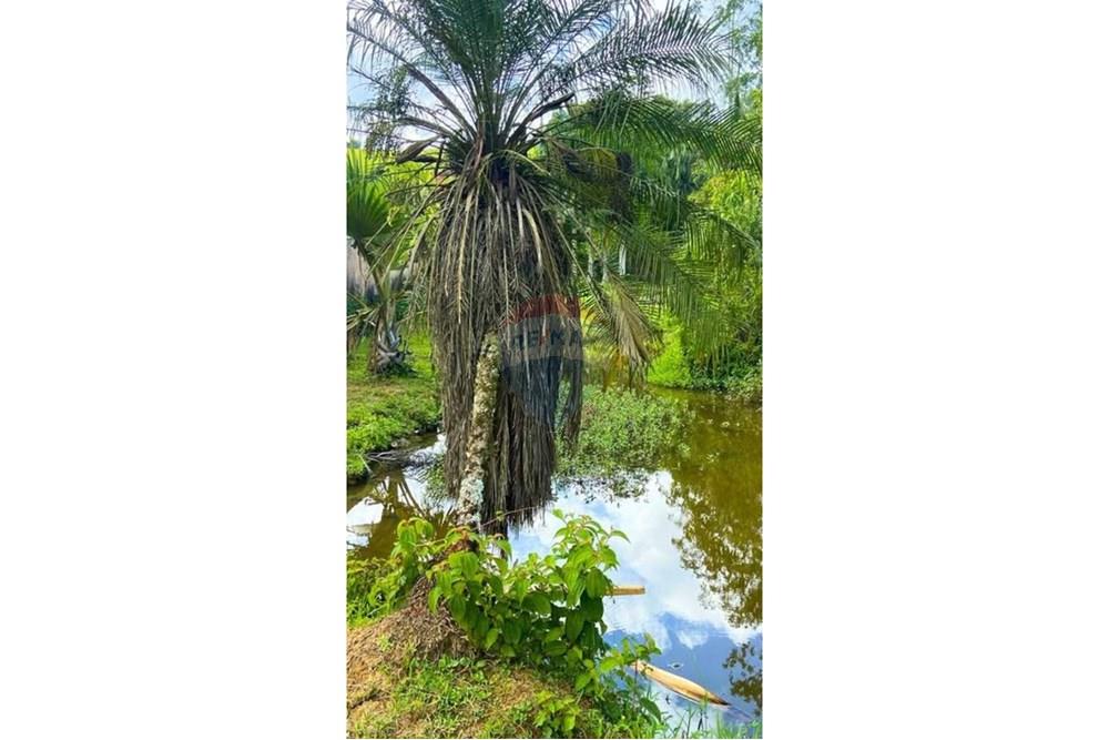 Chácara / Sítio / Fazenda - Venda - Jaraguá do Sul , Santa Catarina - WhatsApp Image 2025-09-16 at 09.32.35 (2).jpeg - 590451031-26