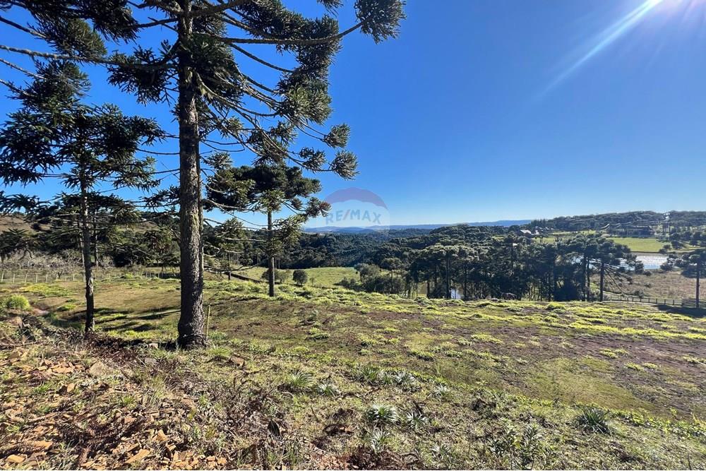 Terreno - Venda - Painel , Santa Catarina - WhatsApp Image 2025-06-11 at 15.16.40.jpeg - 590071003-194