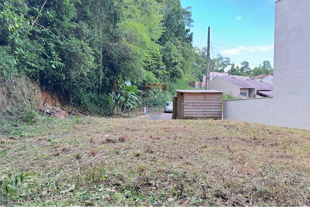Terreno - Venda - Blumenau , Santa Catarina - WhatsApp Image 2025-03-17 at 11.08.18 (1).jpeg - 590301006-91