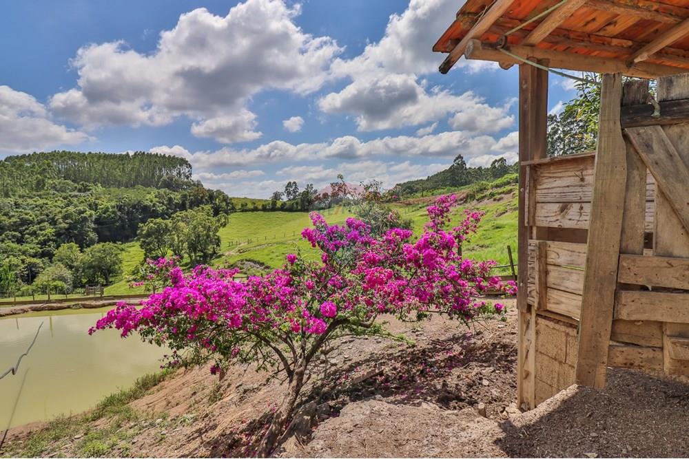 Chácara / Sítio / Fazenda - Venda - Petrolândia , Santa Catarina - WhatsApp Image 2025-02-26 at 16.59.27 (27).jpeg - 590211017-125