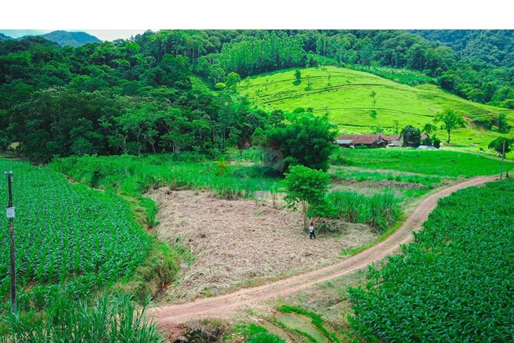 Terreno - Venda - Rio dos Cedros , Santa Catarina - DJI_0069 - Copia.jpg - 590211035-40