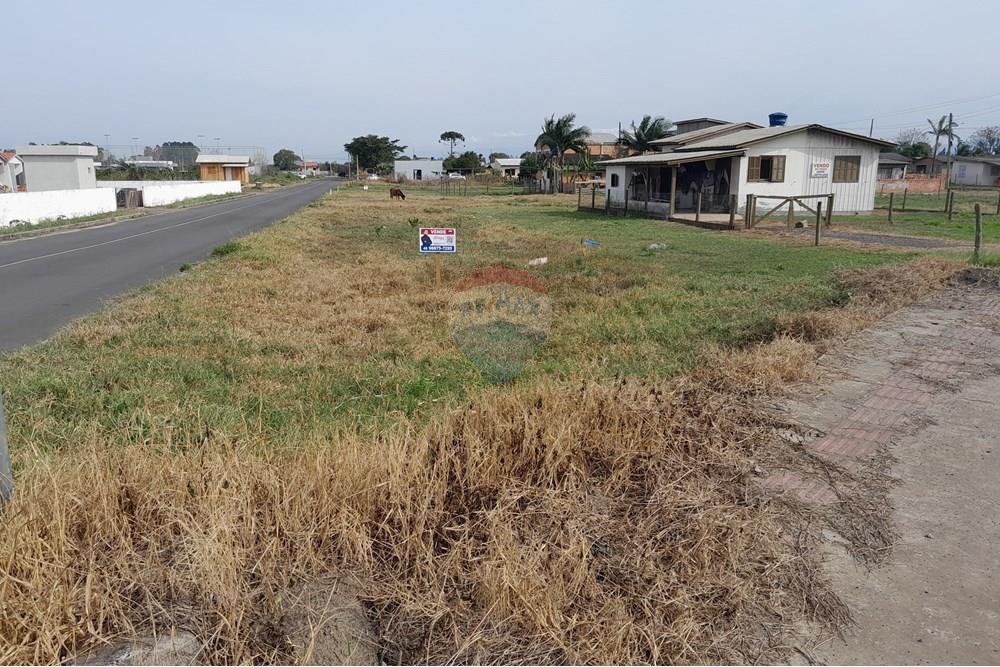 Terreno - Venda - Santa Rosa do Sul , Santa Catarina - 20250726_133602.jpg - 590491005-21