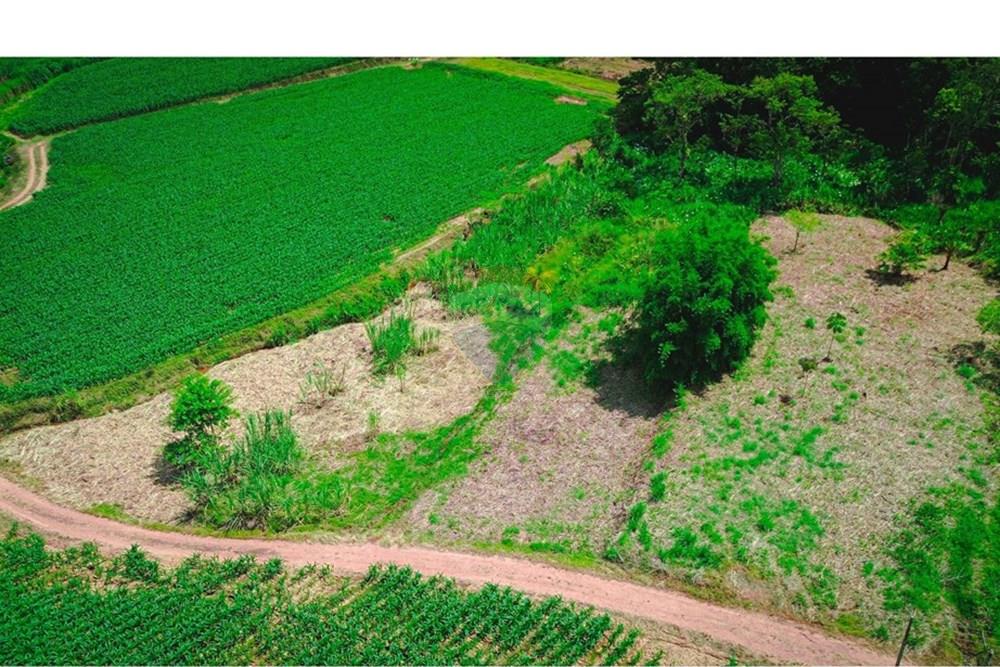 Terreno - Venda - Rio dos Cedros , Santa Catarina - DJI_0054 - Copia.jpg - 590211035-40