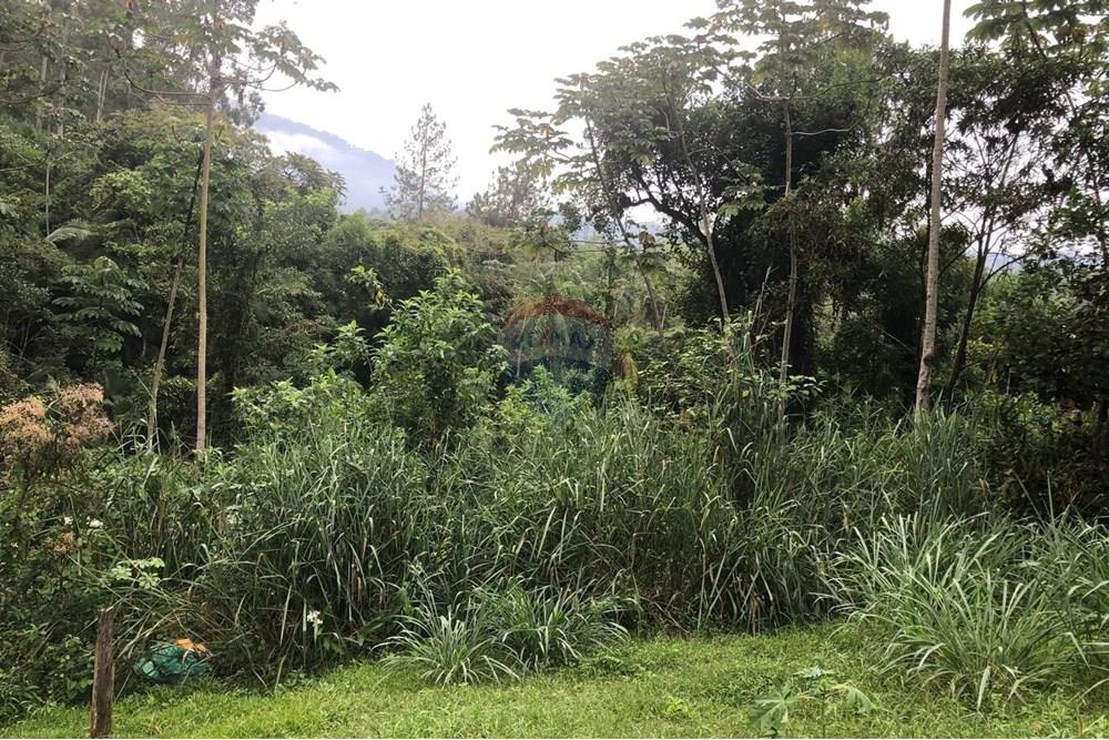 Terreno - Venda - Timbó , Santa Catarina - FOTO 04 - .JPG - 590211051-22