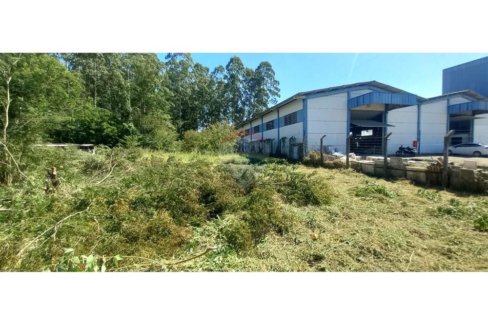 Terreno - Venda - Timbó , Santa Catarina - WhatsApp Image 2025-03-20 at 13.39.23.jpeg - 590211033-46