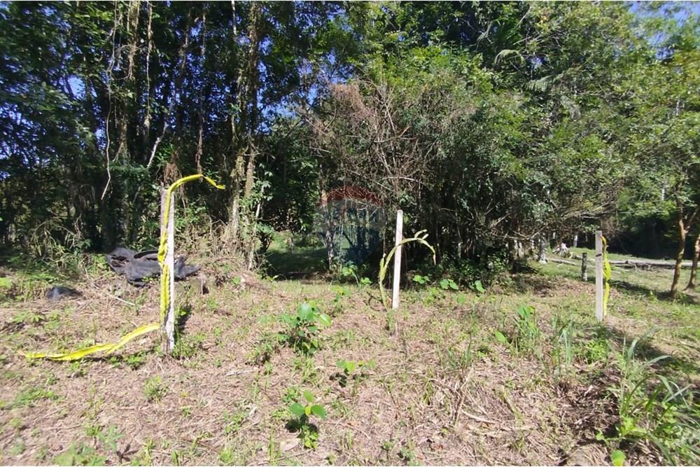 Chácara / Sítio / Fazenda - Venda - Indaial , Santa Catarina - WhatsApp Image 2025-04-23 at 14.49.33.jpeg - 590301044-30