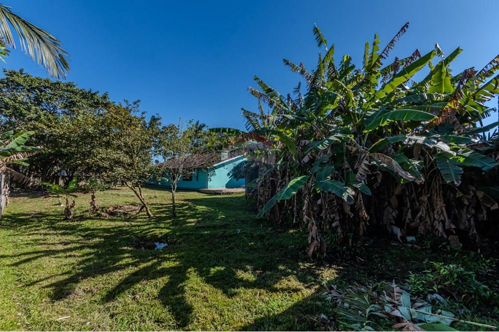 Terreno - Venda - Tijucas , Santa Catarina - IMG_9880.jpg - 590531034-1