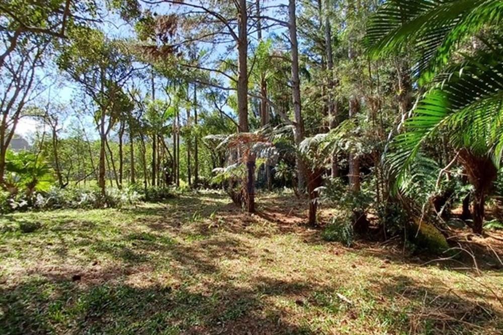 Terreno - Venda - Florianópolis , Santa Catarina - PHOTO-2025-05-15-17-03-24.jpg - 590101001-59