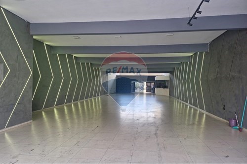 Alugar-Prédio-Rua Curuçá , 539  - Vila Maria Baixa , São Paulo , São Paulo , 02120001-602291018-172