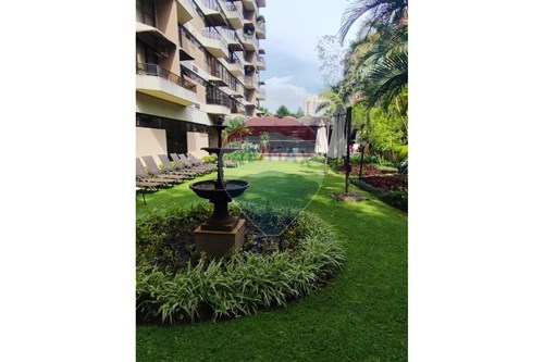 Alugar-Triplex-Cerqueira César , São Paulo , São Paulo , 01419010-602061045-3