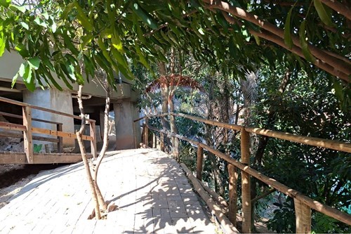 Slider Image Thumbnail