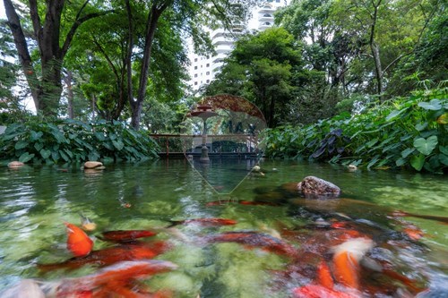 Slider Image Thumbnail