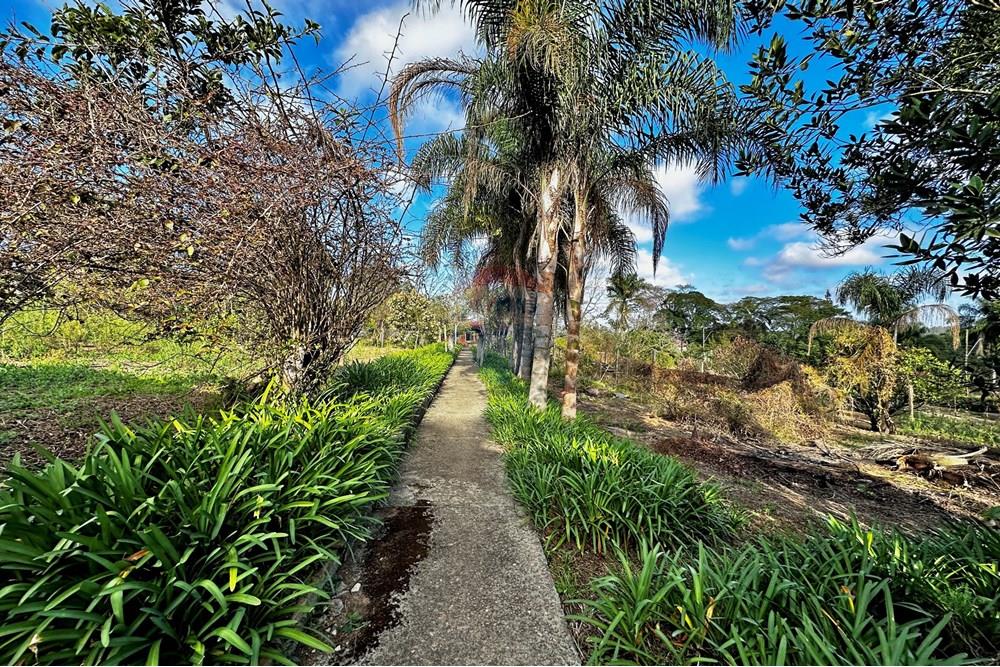 Casa - Venda - Cotia , São Paulo - IMG_8946.jpg - 602331010-36