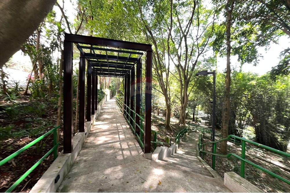 Apartamento - Alugar - São Paulo , São Paulo - WhatsApp Image 2025-10-16 at 11.30.40 (3).jpeg - 602331019-81