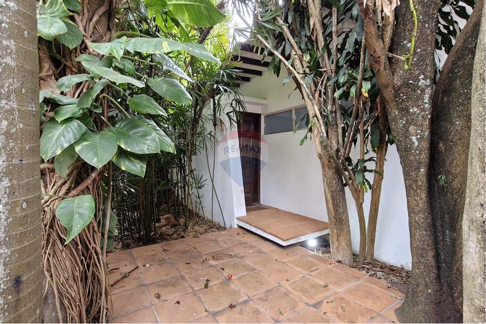 Casa - Venda - São Paulo , São Paulo - RUA OLEGÁRIO MARIANO, 347 (13).jpg - Jardim Externo - 601361045-17