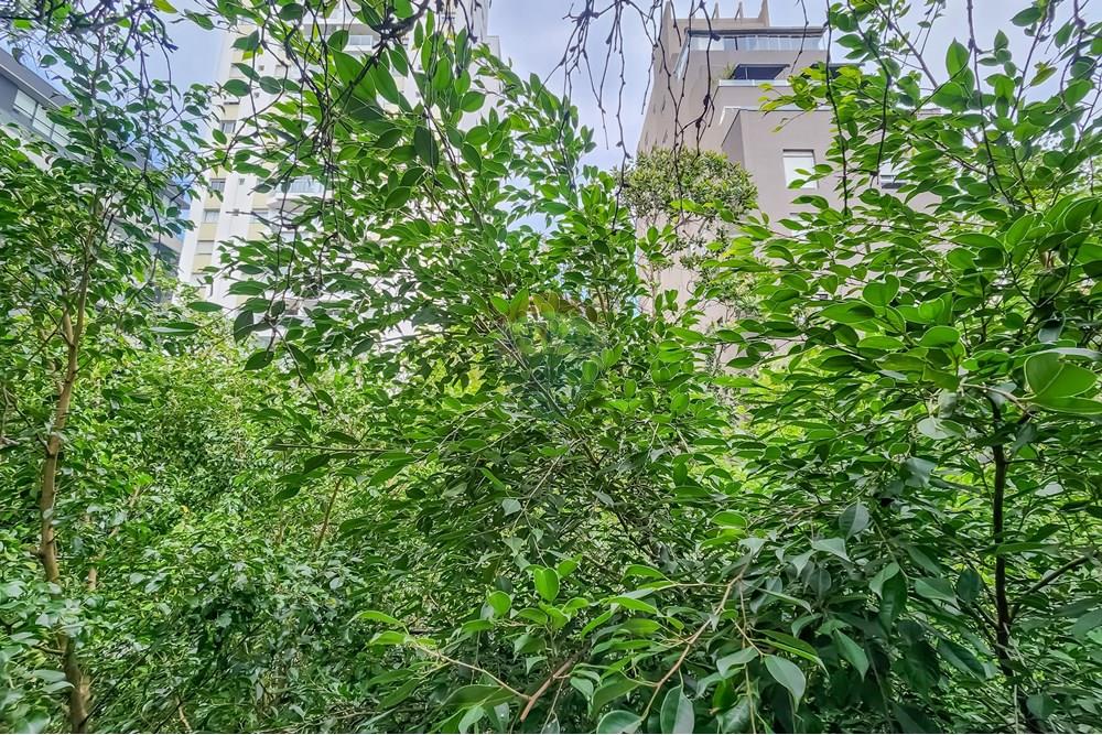 Apartamento - Venda - São Paulo , São Paulo - 20250313_11093901.jpg - 602271022-154