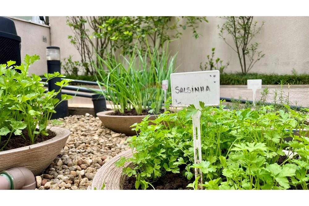 Apartamento - Alugar - São Paulo , São Paulo - IMG_4133.JPEG - 602241008-25