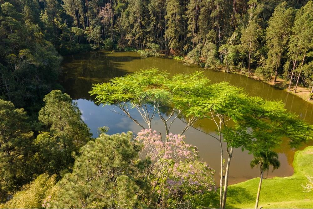 Chácara / Sítio / Fazenda - Venda - Itapecerica da Serra , São Paulo - DJI_0306.jpg - 601241014-67