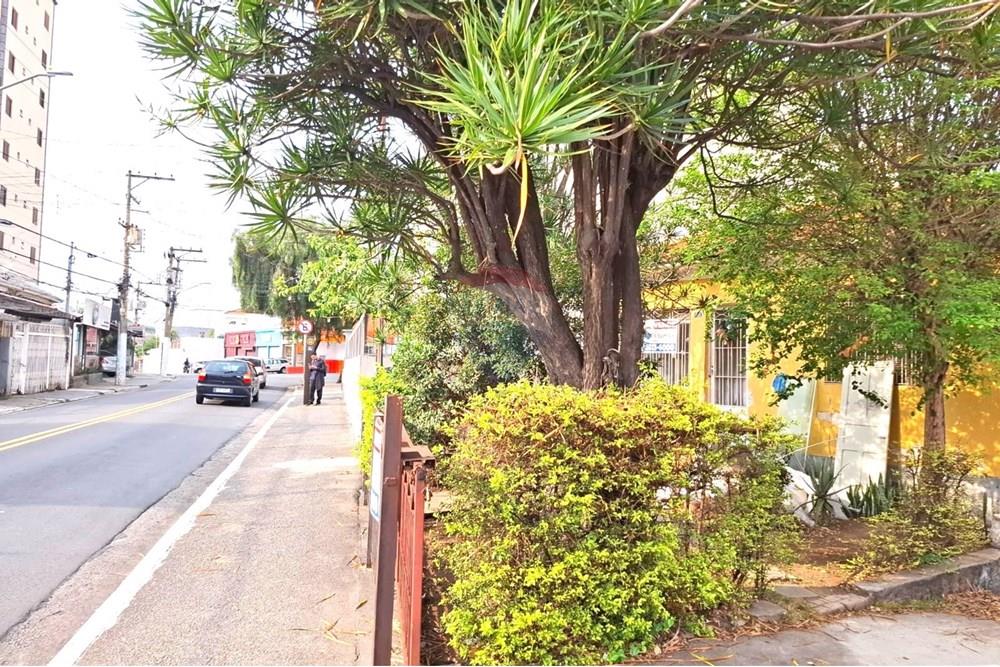 Terreno - Venda - São Paulo , São Paulo - 1.jpg - 602291016-216