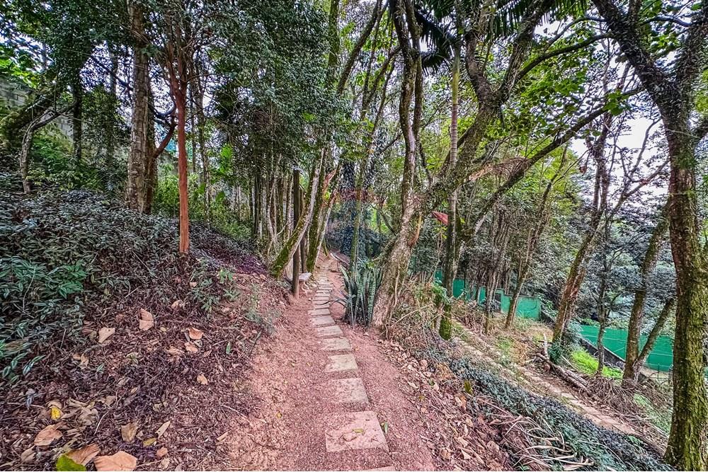 Casa de Condomínio - Venda - Cotia , São Paulo - IMG_7775.jpg - 602241014-16