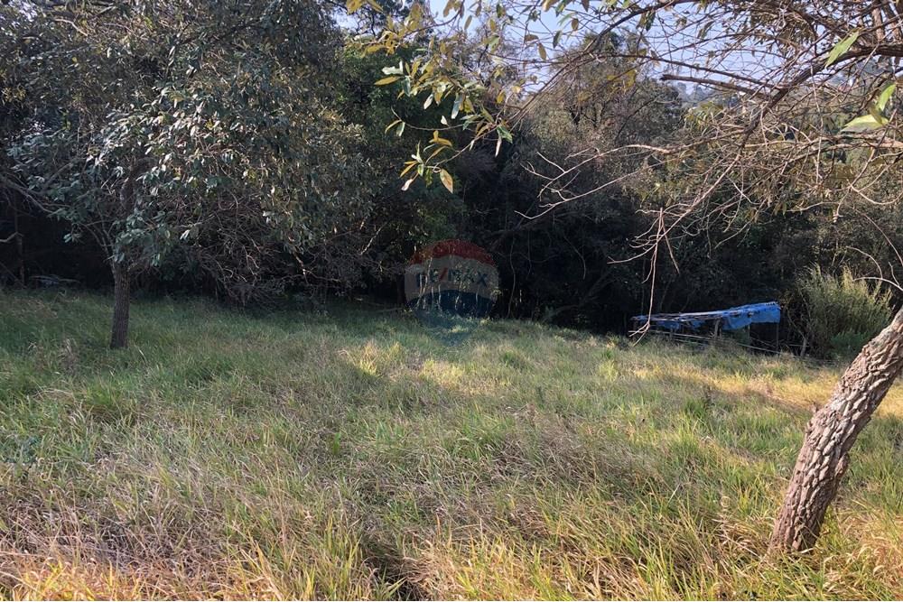 Terreno - Venda - Santana de Parnaíba , São Paulo - IMG_0057.jpg - 601081091-2