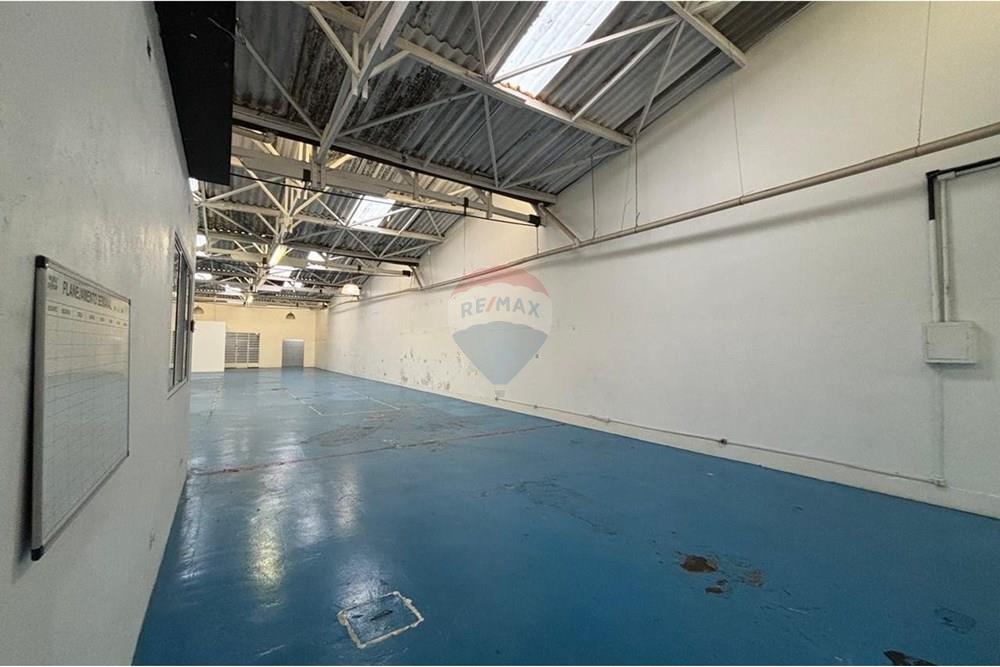 Galpão - Alugar - São Paulo , São Paulo - 3.jpg - 602291016-209