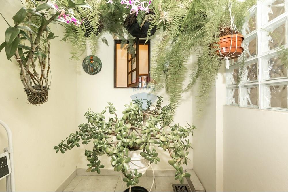 Casa - Venda - São Paulo , São Paulo - IMG_488622.jpg - 602281016-1158