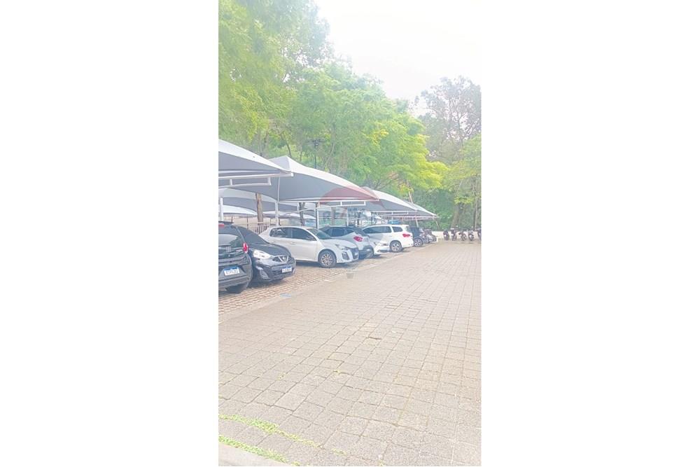 Apartamento - Alugar - São Paulo , São Paulo - a867dee7-1286-4c0e-a125-5d4296acfaa7.jpeg - 602361012-100