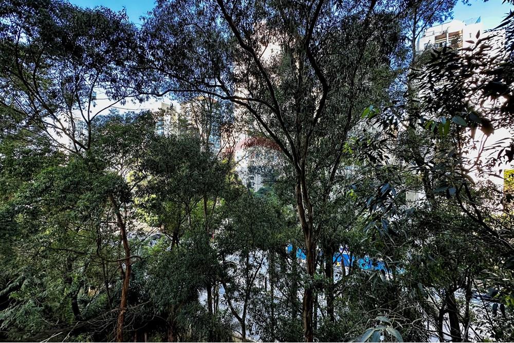 Apartamento - Alugar - São Paulo , São Paulo - IMG_5228.jpg - 602321003-63