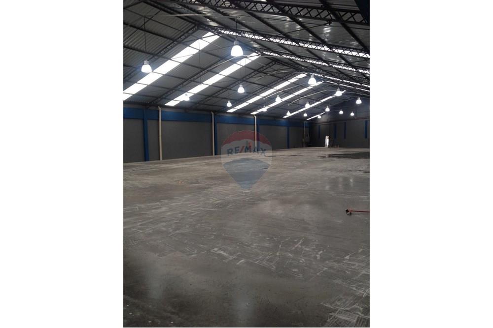 Galpão - Alugar - São Paulo , São Paulo - 3.jpeg - 602291016-152