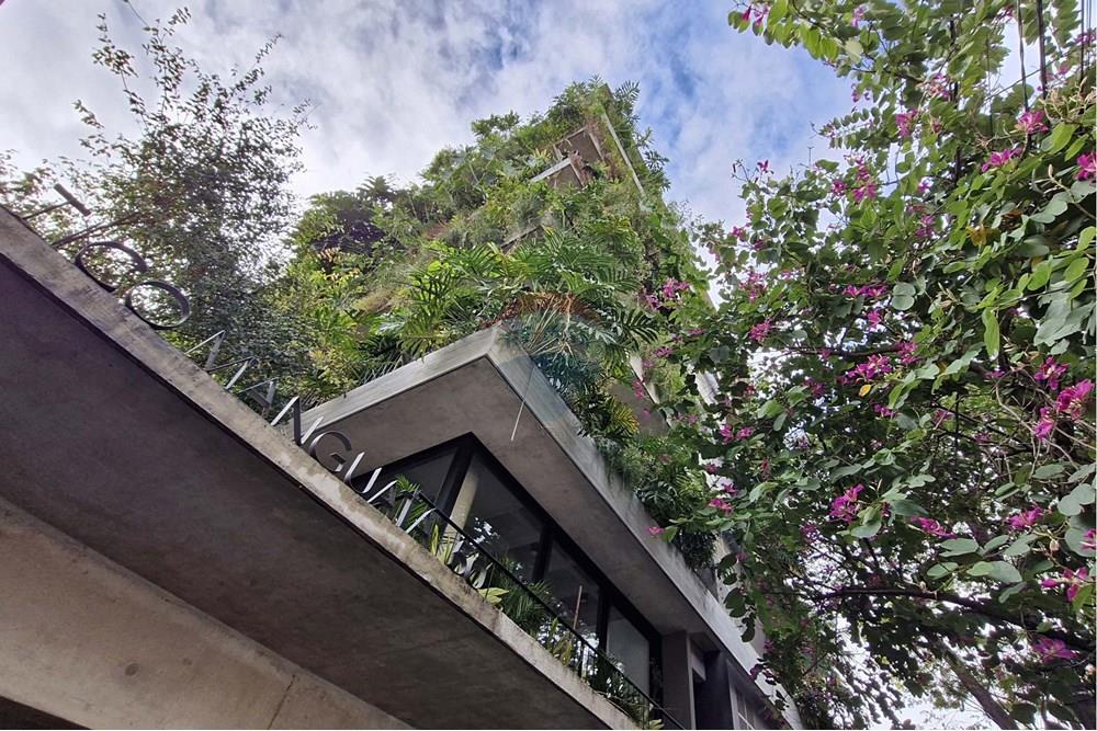 Apartamento - Venda - São Paulo , São Paulo - RUA MANGUATA, 50 (1).jpg - Fachada - 601361053-33