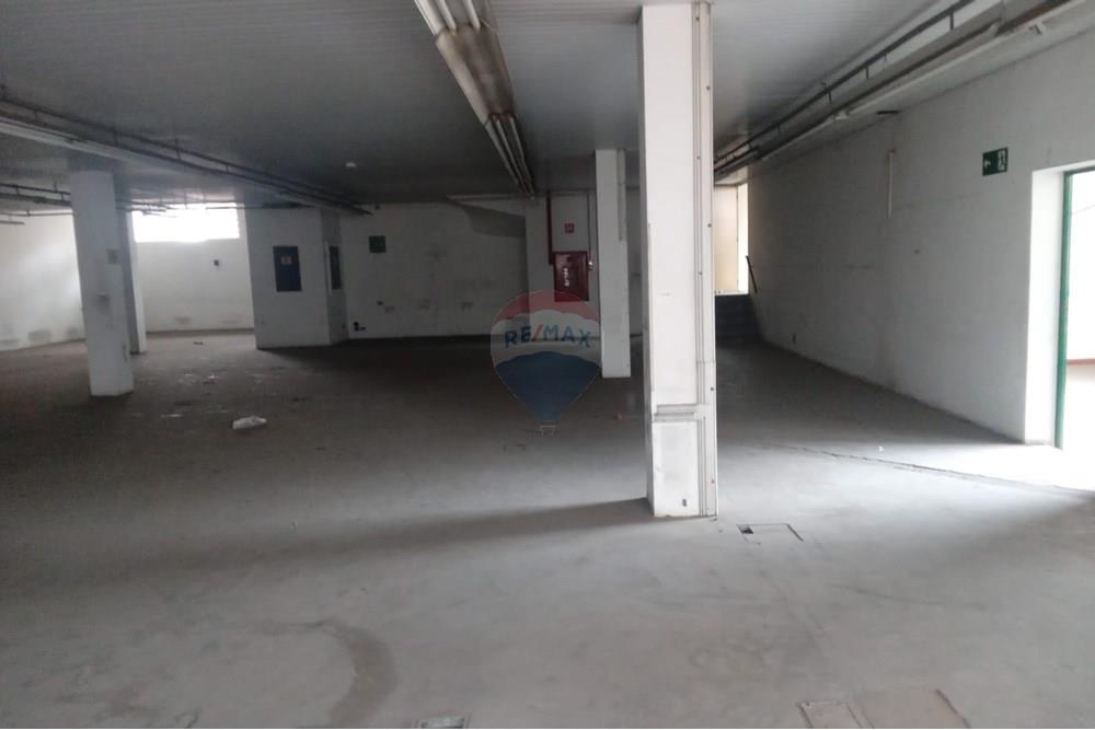 Galpão - Alugar - São Paulo , São Paulo - 0879e934-188d-47d3-87ad-e91c17de6a5f.jpeg - 602291018-101