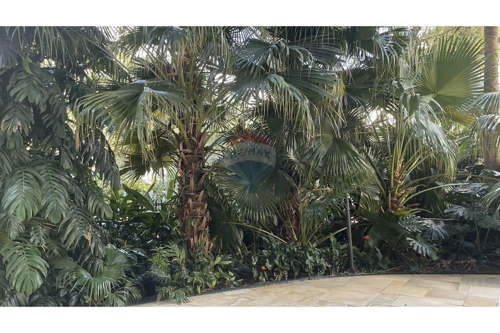 Apartamento - Alugar - São Paulo , São Paulo - 46 Jardim.jpeg - 601081084-6