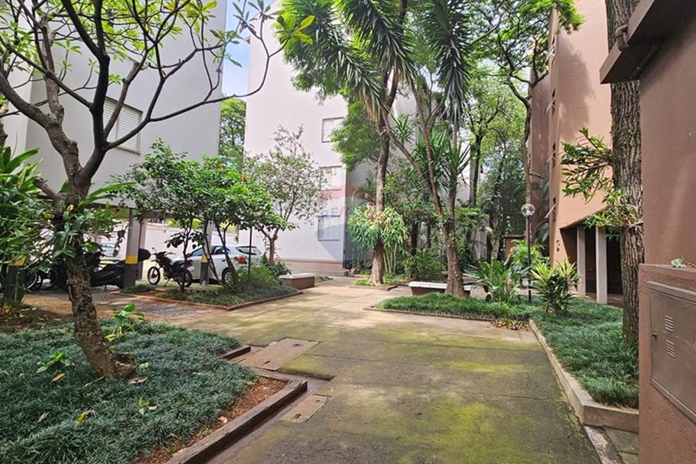 Apartamento - Alugar - São Paulo , São Paulo - 20250313_103340.jpg - 602101009-48