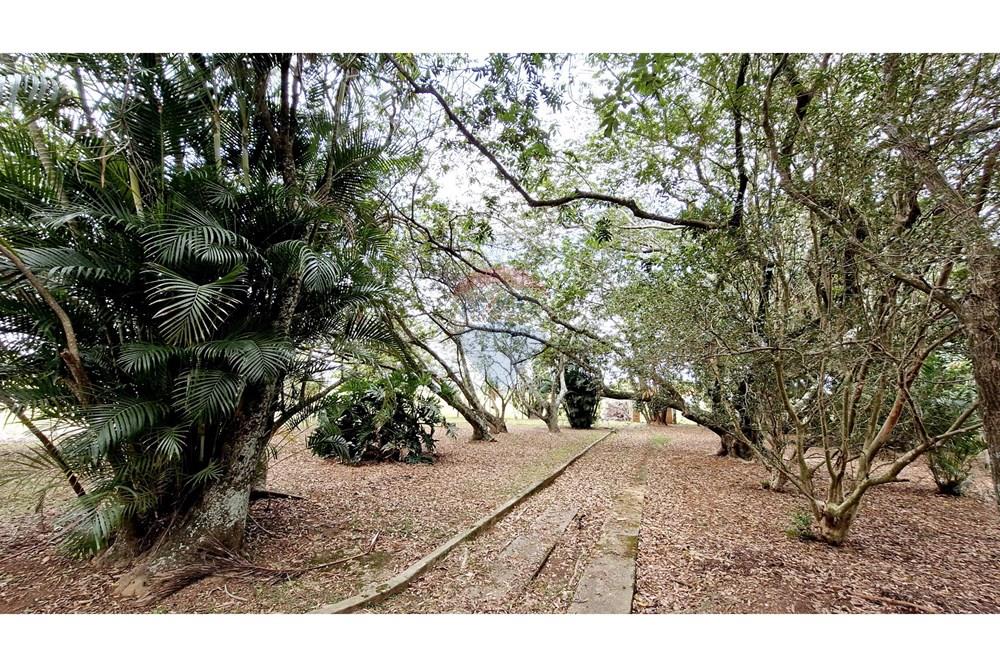 Fazenda - Venda - Itapetininga , São Paulo - SITIO ITAPETININGA (82).jpg - 602301007-5