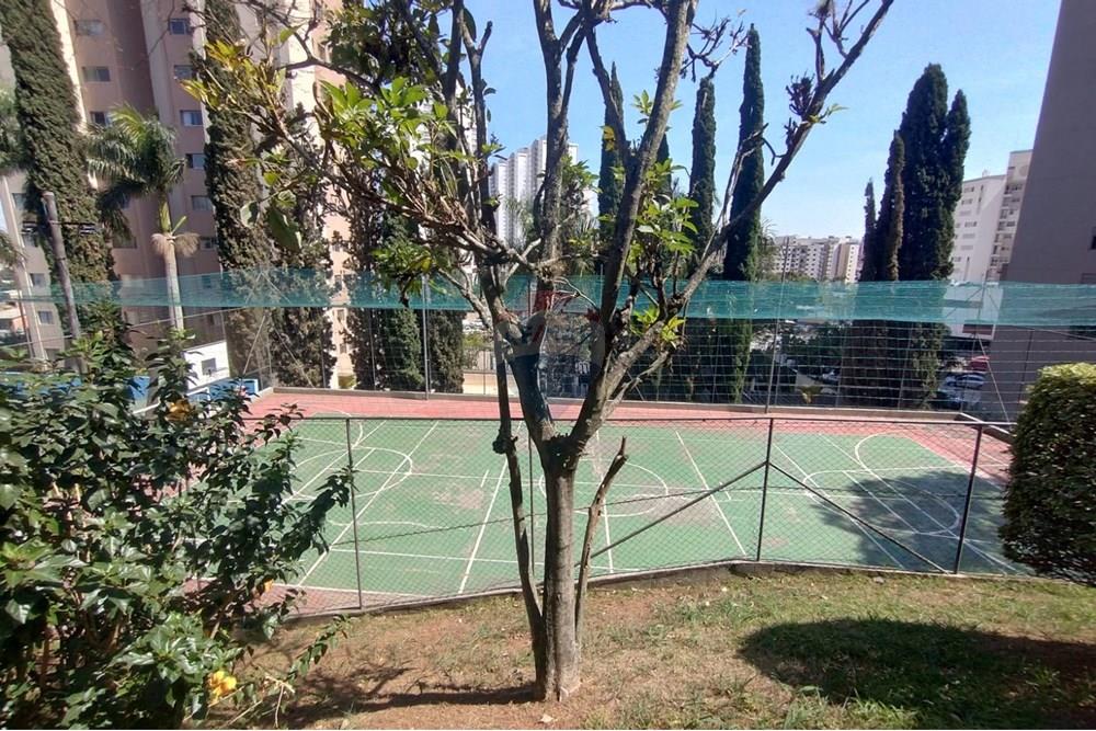 Apartamento - Alugar - São Paulo , São Paulo - WhatsApp Image 2025-08-24 at 06.51.58.jpeg - 602331017-91