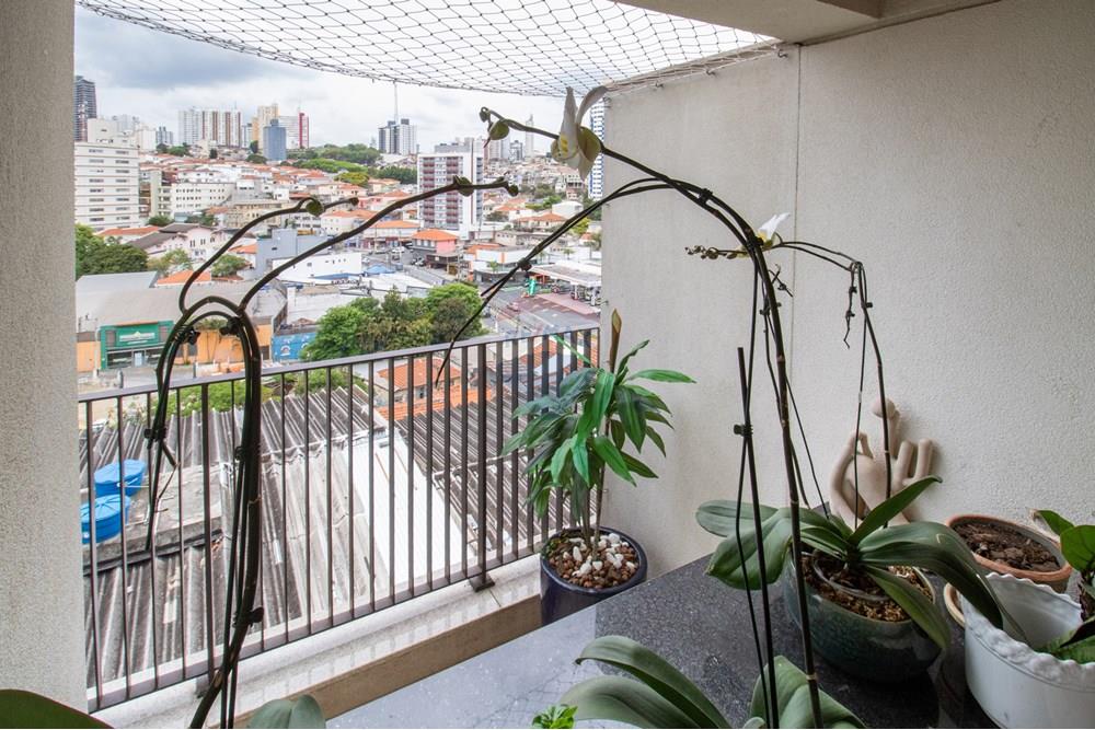 Apartamento - Venda - São Paulo , São Paulo - 01fotos_021.jpg - 601251099-182
