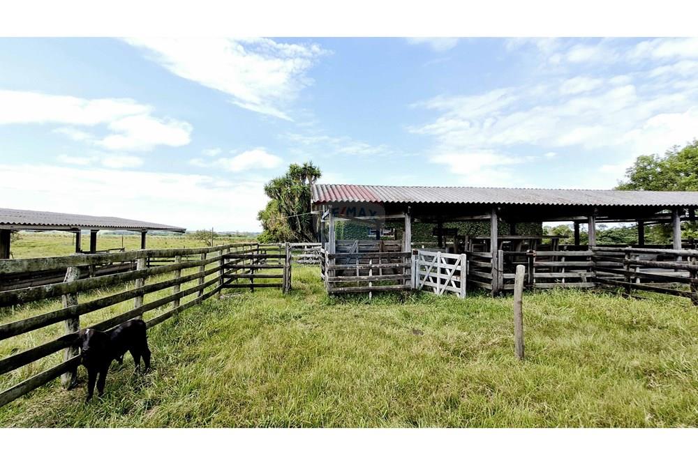 Fazenda - Venda - Itapetininga , São Paulo - SITIO ITAPETININGA (99).jpg - 602301007-5