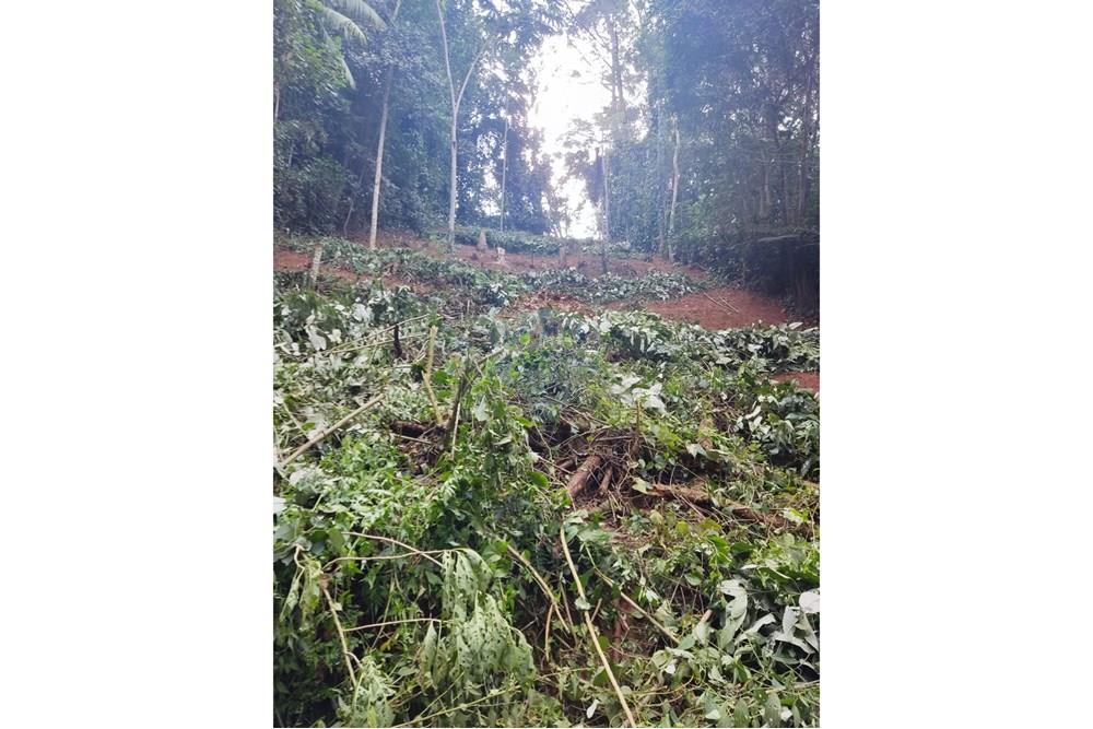 Terreno - Venda - Arujá , São Paulo - WhatsApp Image 2025-09-26 at 14.34.44 (1).jpeg - 601351175-64