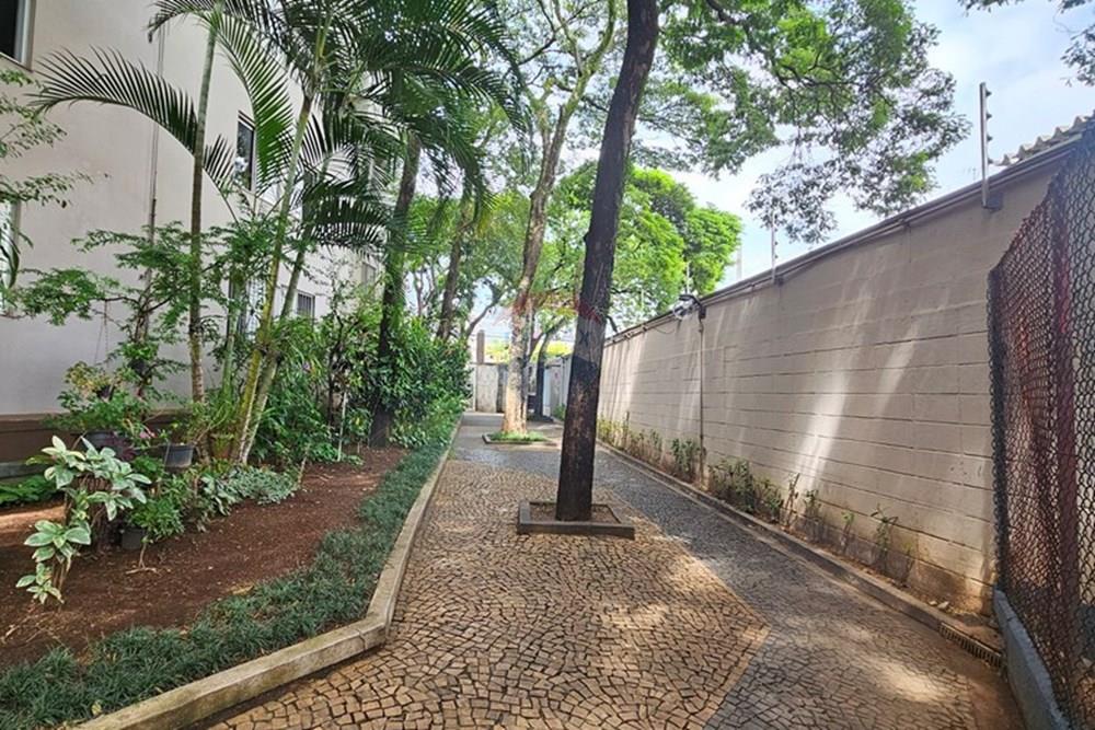 Apartamento - Alugar - São Paulo , São Paulo - 20250313_103602.jpg - 602101009-48