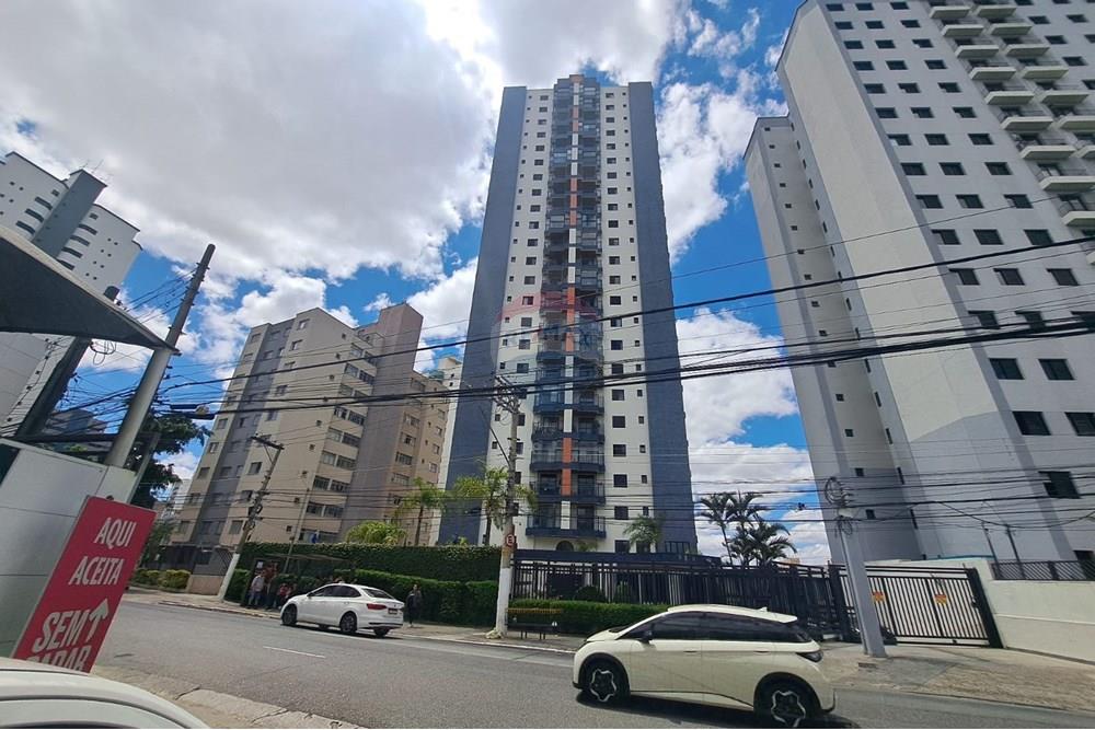 Apartamento - Alugar - São Paulo , São Paulo - IMG-20251021-WA0014.jpg - 602291037-32