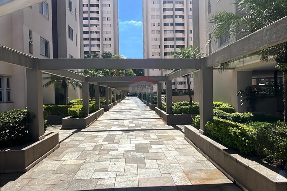 Apartamento - Alugar - São Paulo , São Paulo - IMG-20250217-WA0092.jpg - 602331019-74