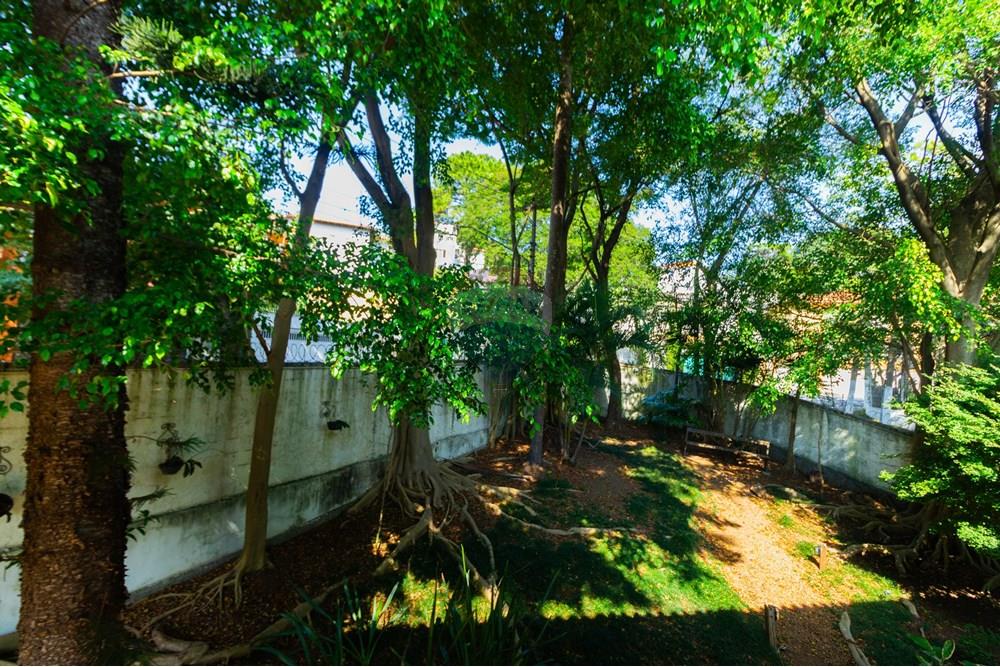 Casa - Venda - São Paulo , São Paulo - IMG_0754.jpg - Jardim Externo - 602241023-20