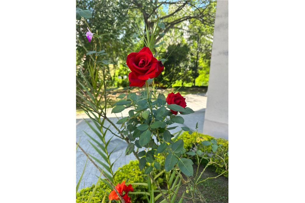 Apartamento - Venda - São Paulo , São Paulo - 31 - 601751058-70